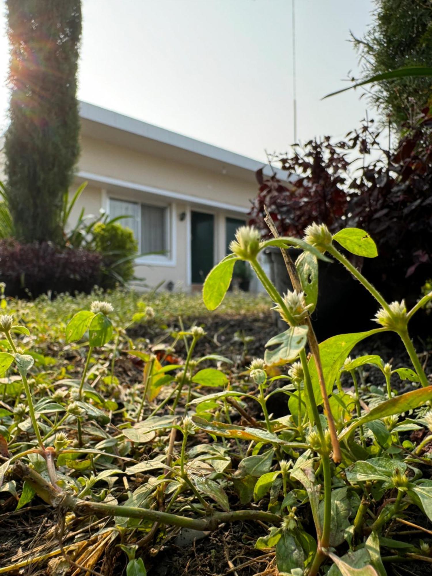 The Bougainvillea Cottage Farmstay Near Dehradun , 2 Bedroom Private Cottage Next To Fields And Orchards With Hill Views Exterior foto